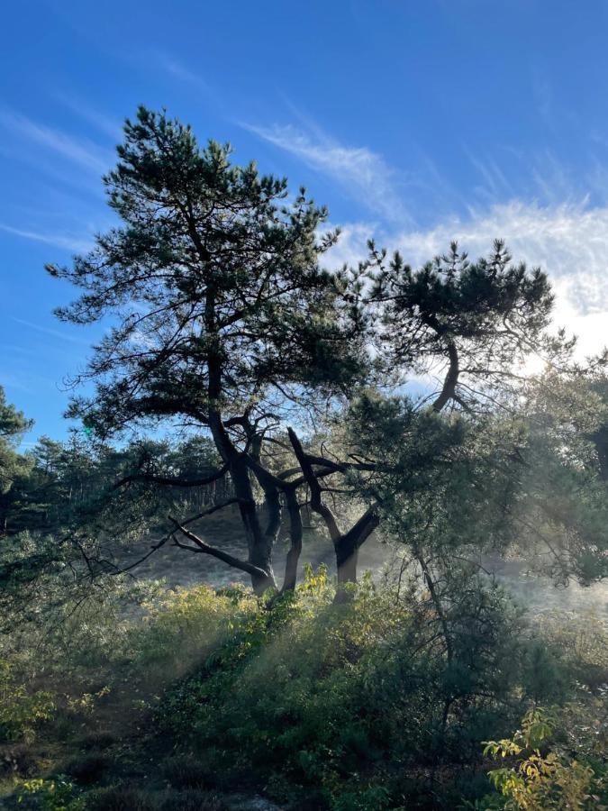 The Forester Schoorl Bagian luar foto